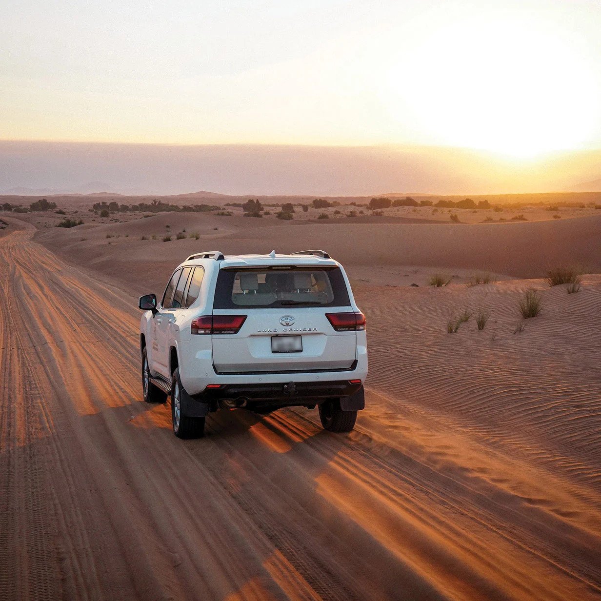Evening Desert Safari